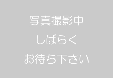 写真：